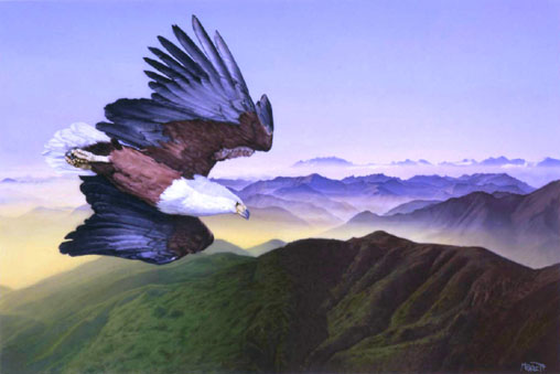 Eagle