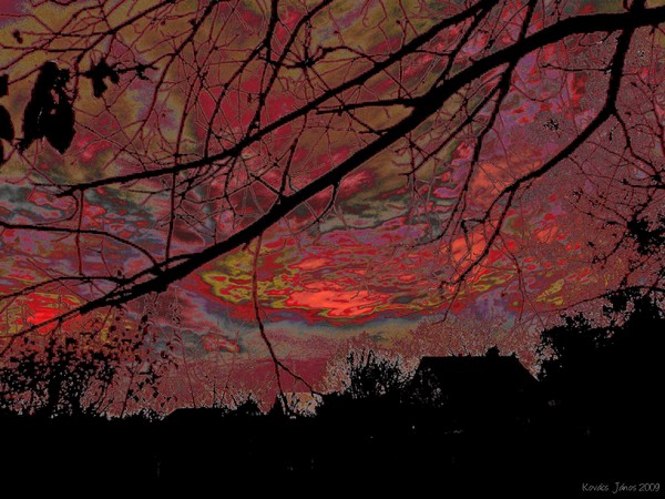 Tree In The Dark XXXVIII