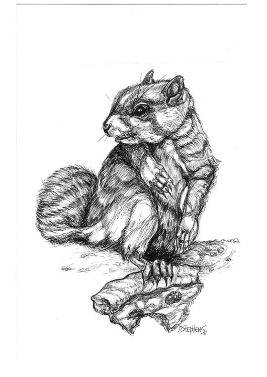 City Squirrel Pizza