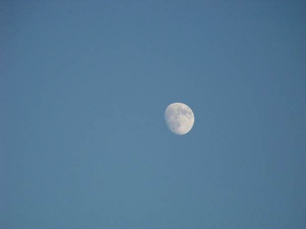 Blue Moon