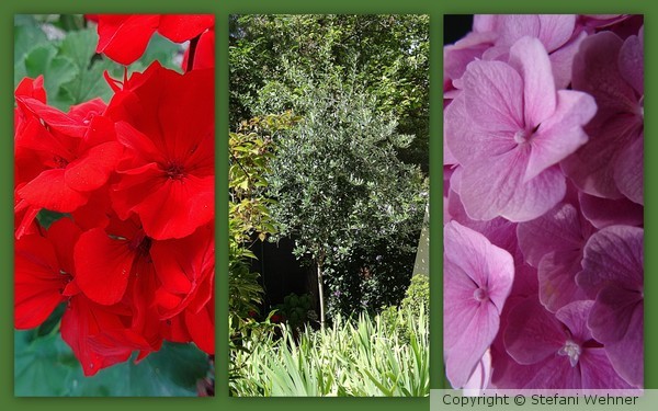 day in August