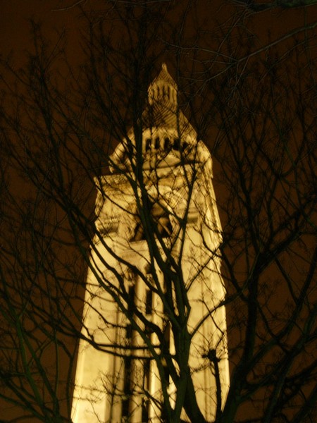 the tower by night