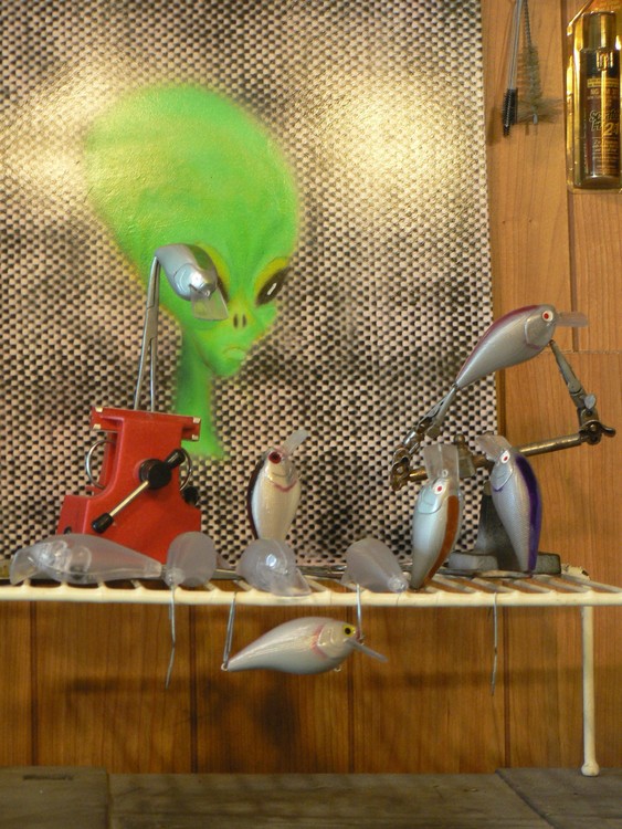 square bill crank baits. 