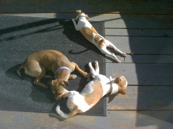 sweet lil' babes