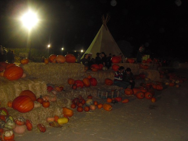 Pumpkin City