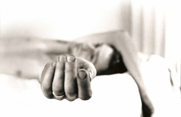 Working Hands: Dirt of the Land