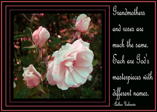 A Card For Gramma