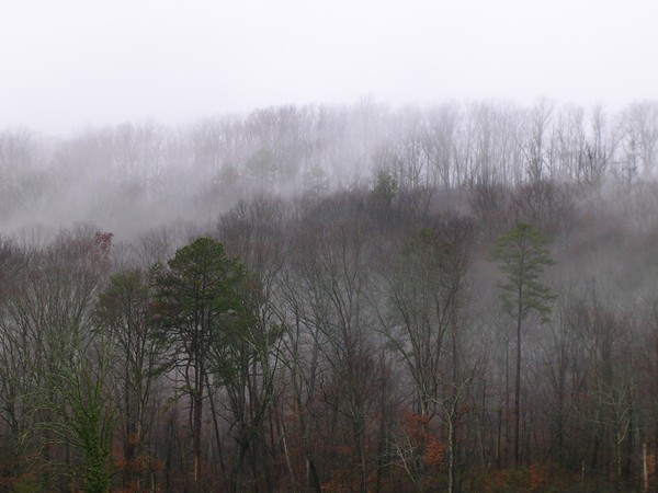 Smoky Mountain Mist