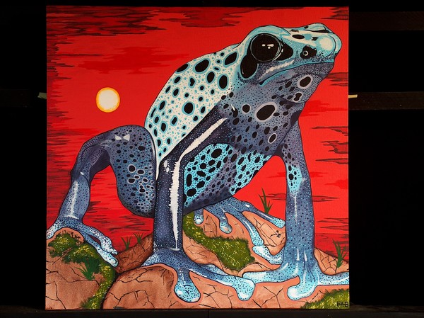 poison dart frog sunset