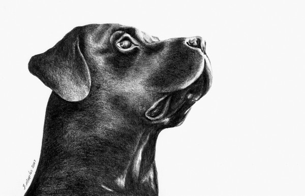 Ben Portrait
