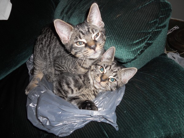 roger and sky when younger
