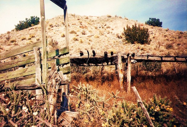 Cattle Shoot, Hernandez, New Mexico