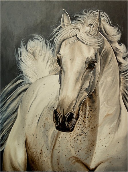 The horse