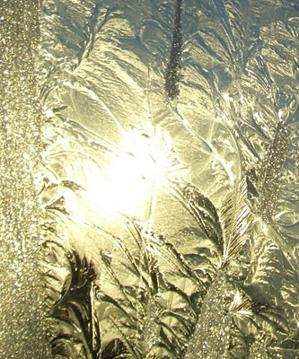 More Frost Flowers