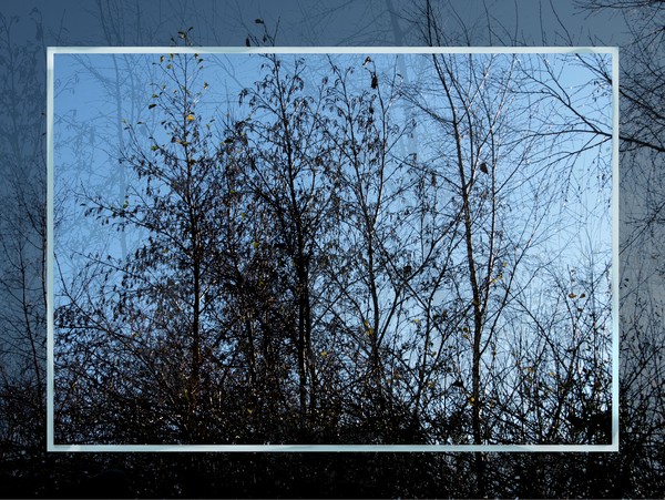 Against The Blue