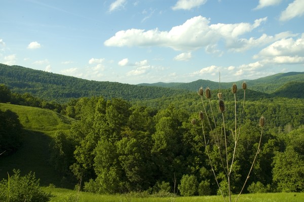 My Favorite View