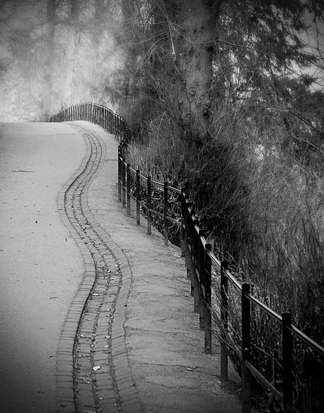 The Snake Path