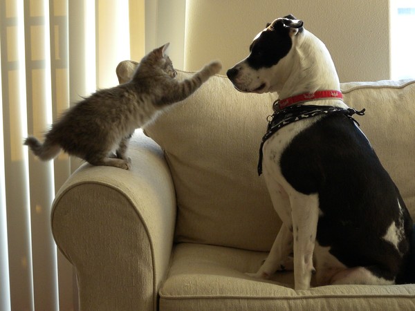 Courage in the face of adversity
