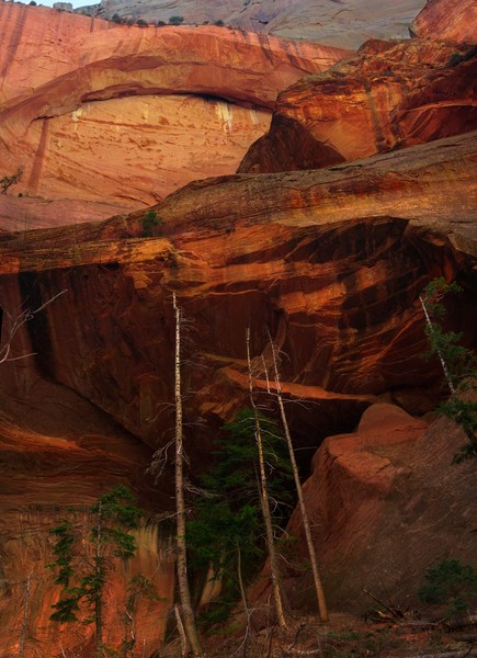 Double Arch Alcove