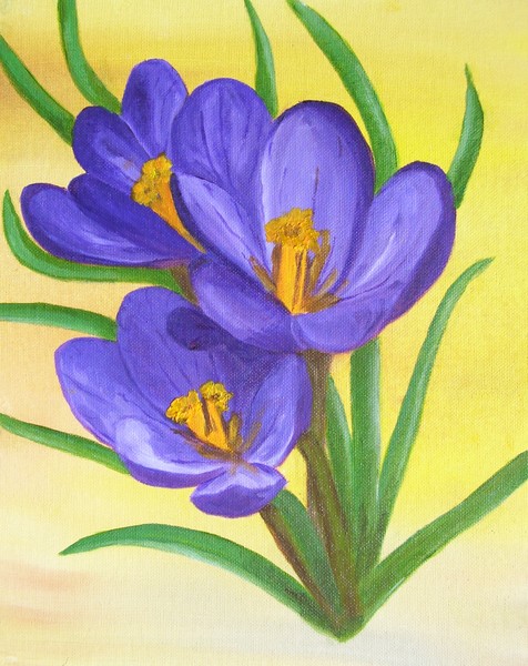 Crocuses