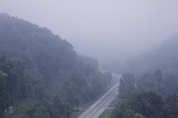 A view from the Trace