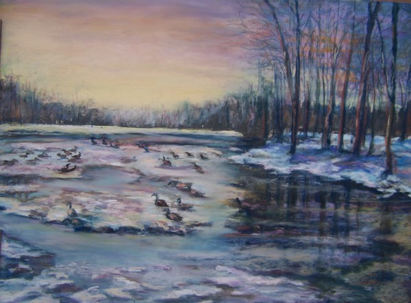 Geese in the Swamp