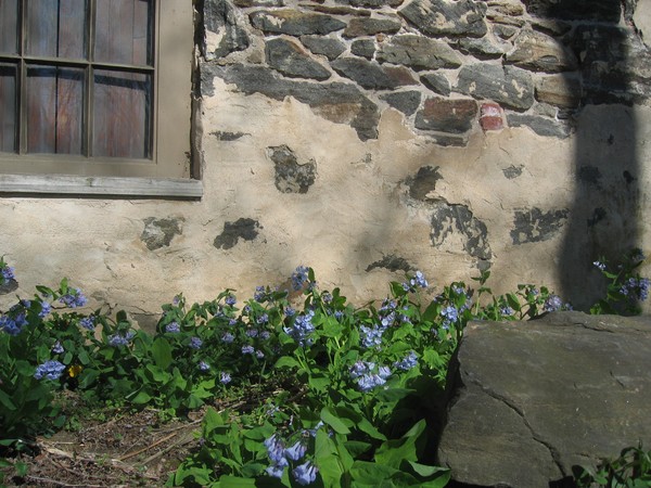 Shadows on Stone, Brandywine