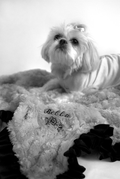 Bella