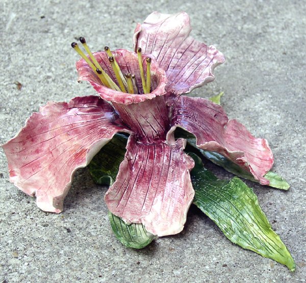 Pink orchid