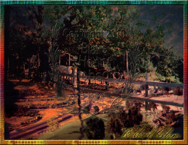 Ahh the country, landscape & horses collage