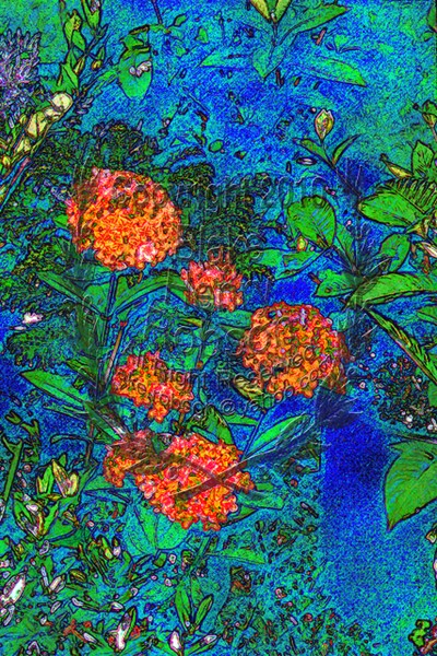 Jugle Fire Flowers
