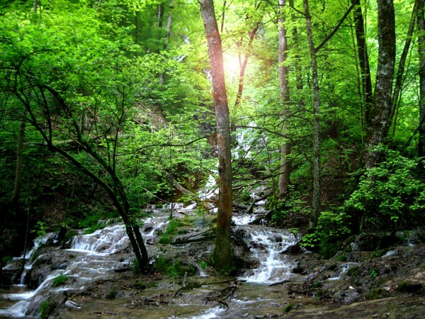 Silence near the Waterfalls