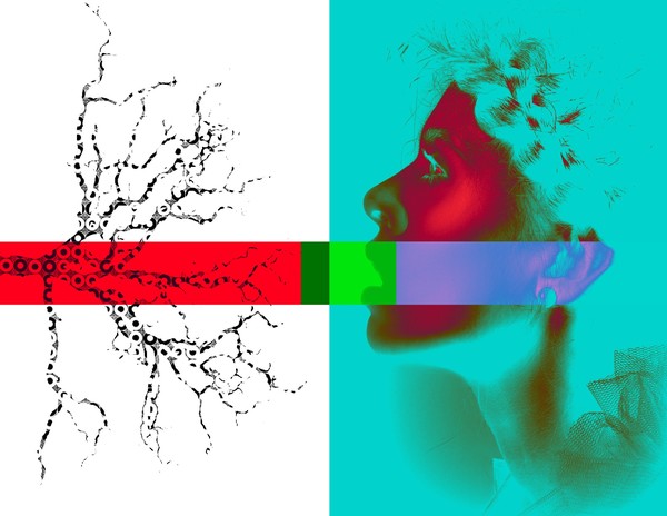roots II, living on series 2012