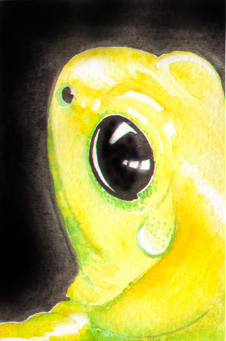 Drops