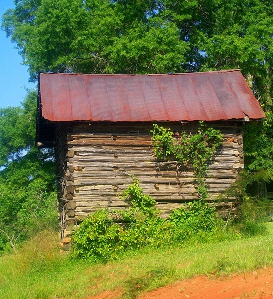 Old Shed