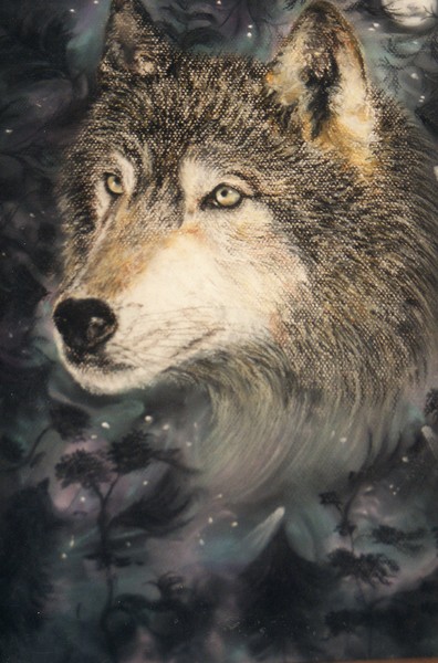 Wolf