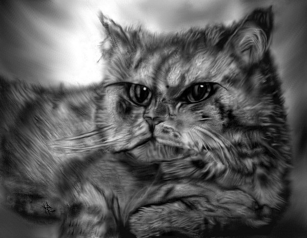 Catabolic