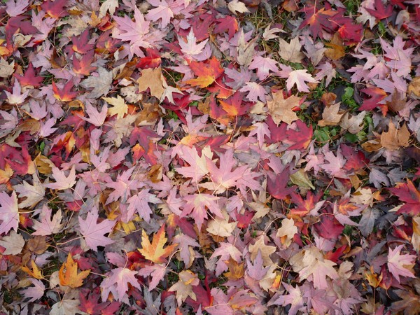 Scattered