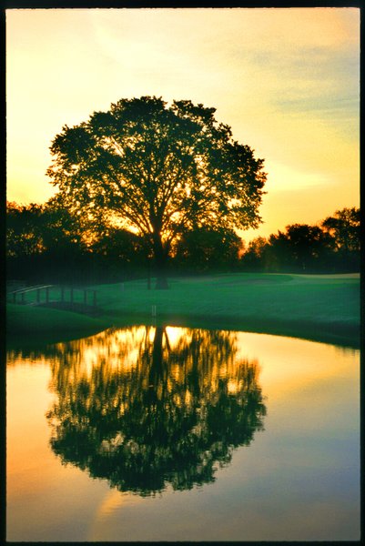 Maple Meadows Golf Course
