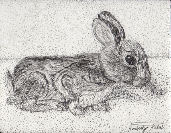 Bunny