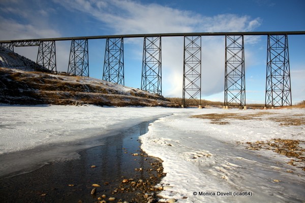 Chinook Country