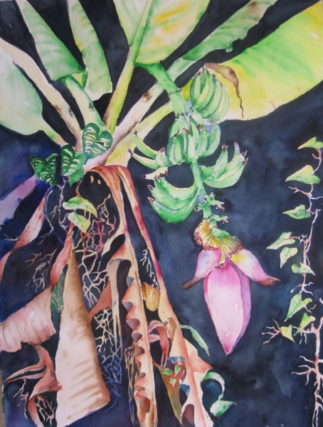 Banana Tree