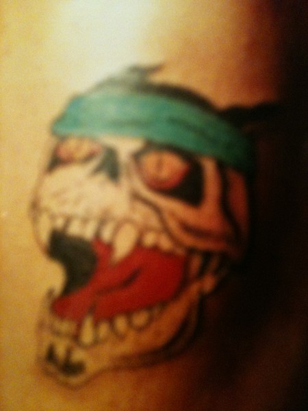 cat skull