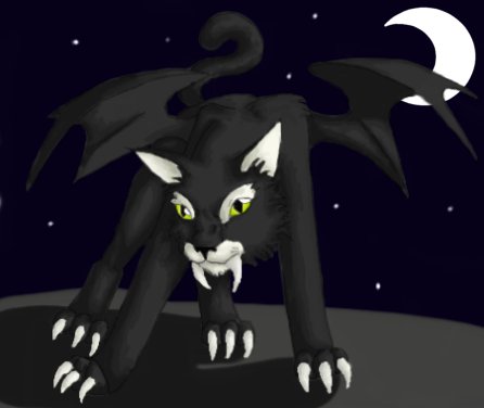 angry cat