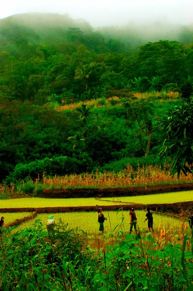 Desa-Arus-NTT
