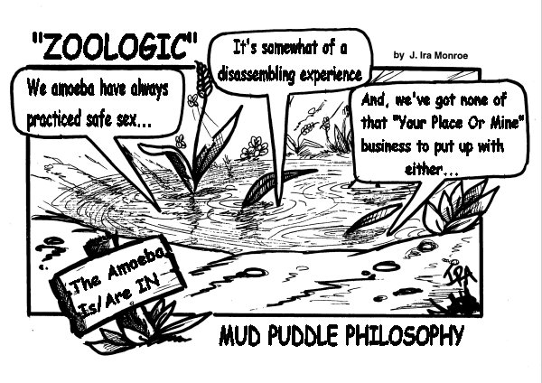 More From The Mud Puddle