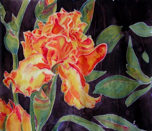 Yelloe Iris