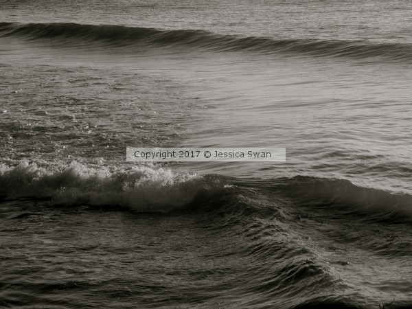 Why in the Wave