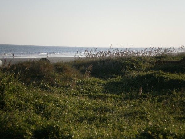 P8310349