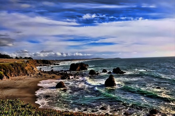 Bodega Bay